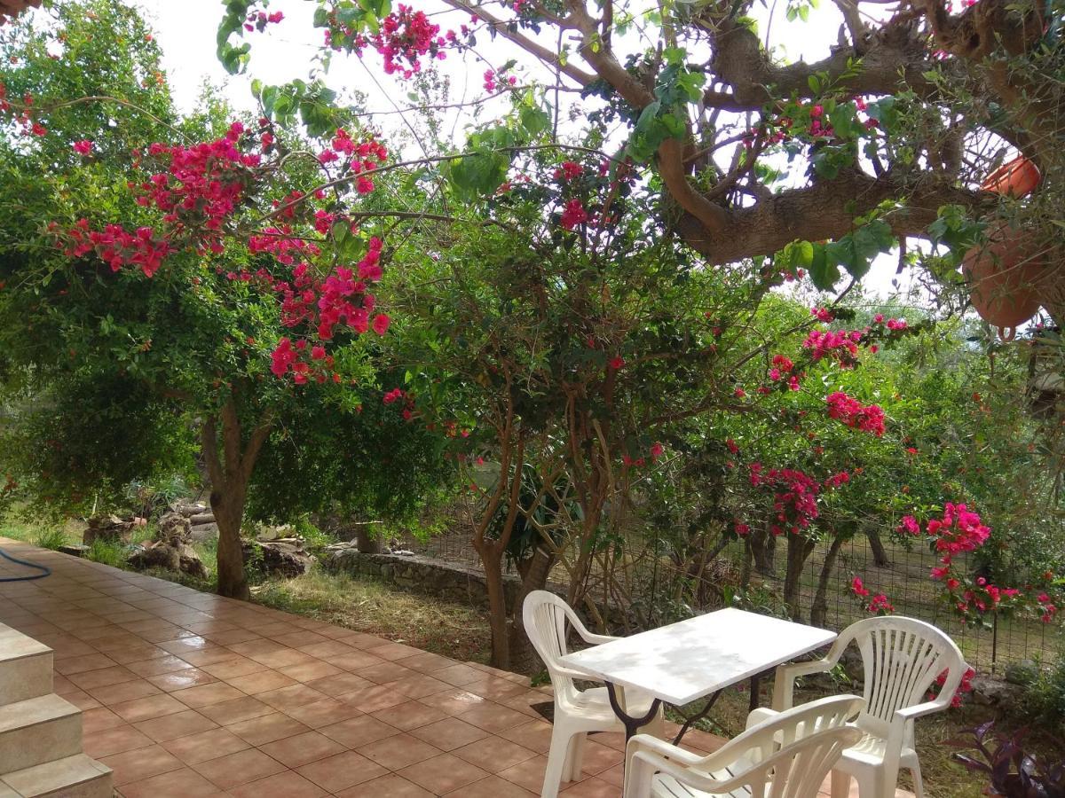 Ktima Tzamika Apartment Episkopi  ภายนอก รูปภาพ