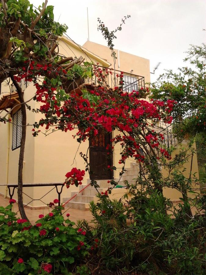 Ktima Tzamika Apartment Episkopi  ภายนอก รูปภาพ