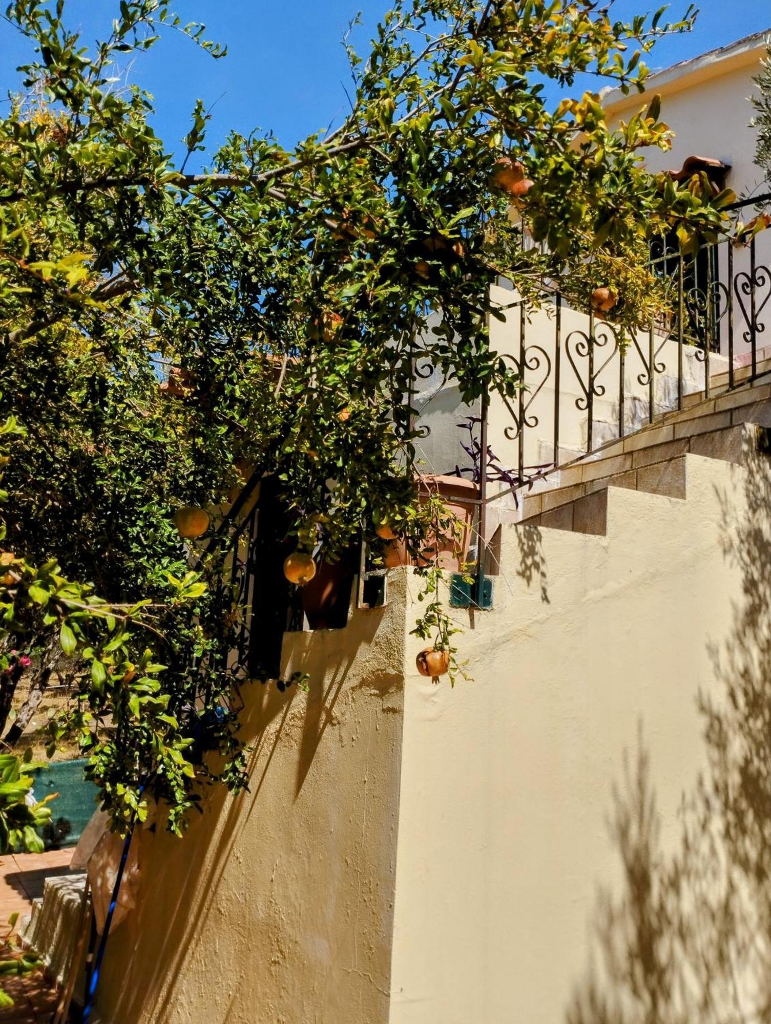 Ktima Tzamika Apartment Episkopi  ภายนอก รูปภาพ