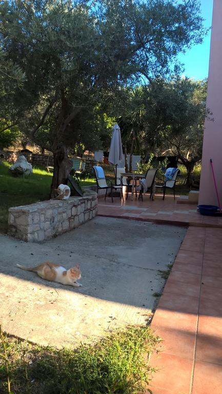 Ktima Tzamika Apartment Episkopi  ภายนอก รูปภาพ