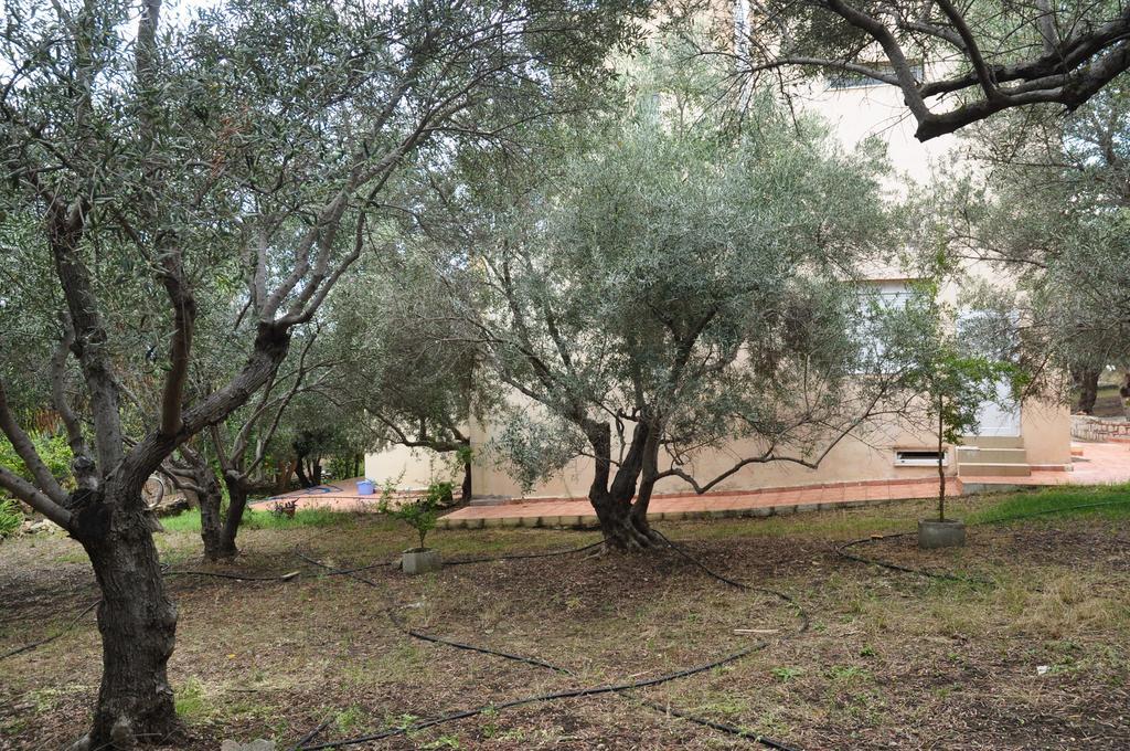 Ktima Tzamika Apartment Episkopi  ภายนอก รูปภาพ