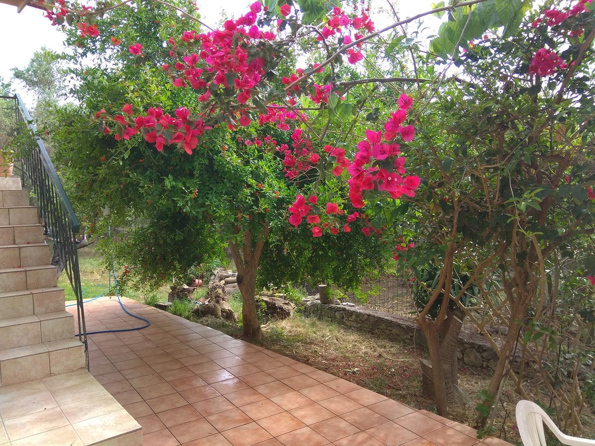 Ktima Tzamika Apartment Episkopi  ภายนอก รูปภาพ
