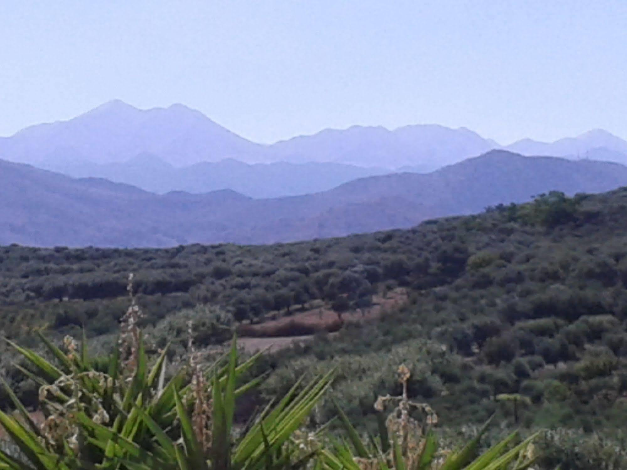 Ktima Tzamika Apartment Episkopi  ภายนอก รูปภาพ
