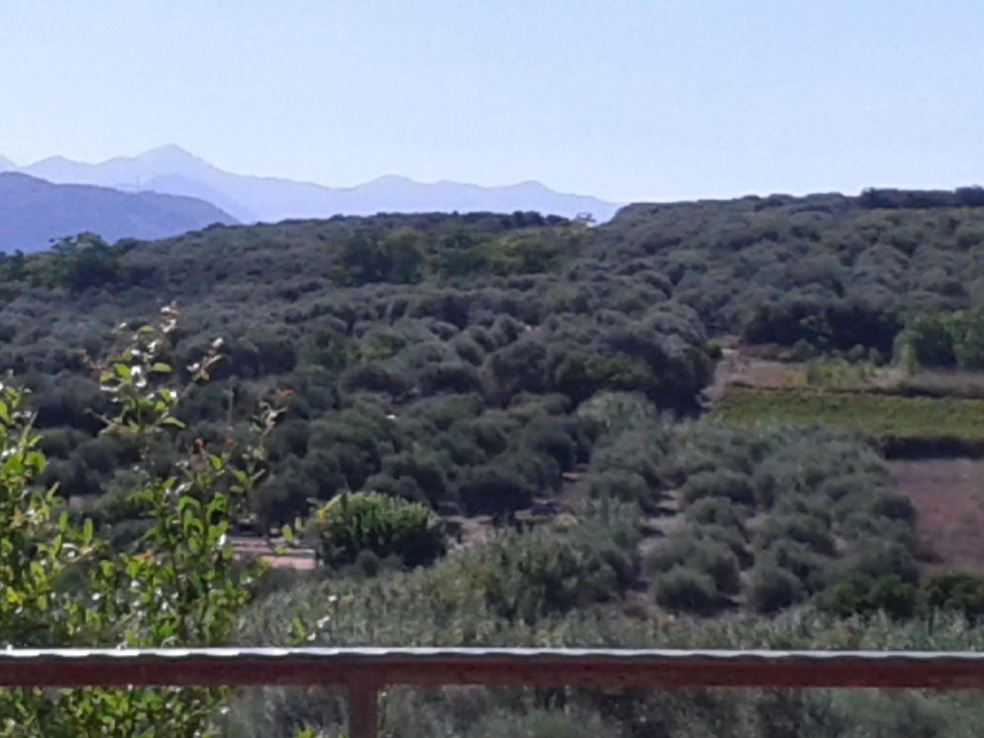 Ktima Tzamika Apartment Episkopi  ภายนอก รูปภาพ