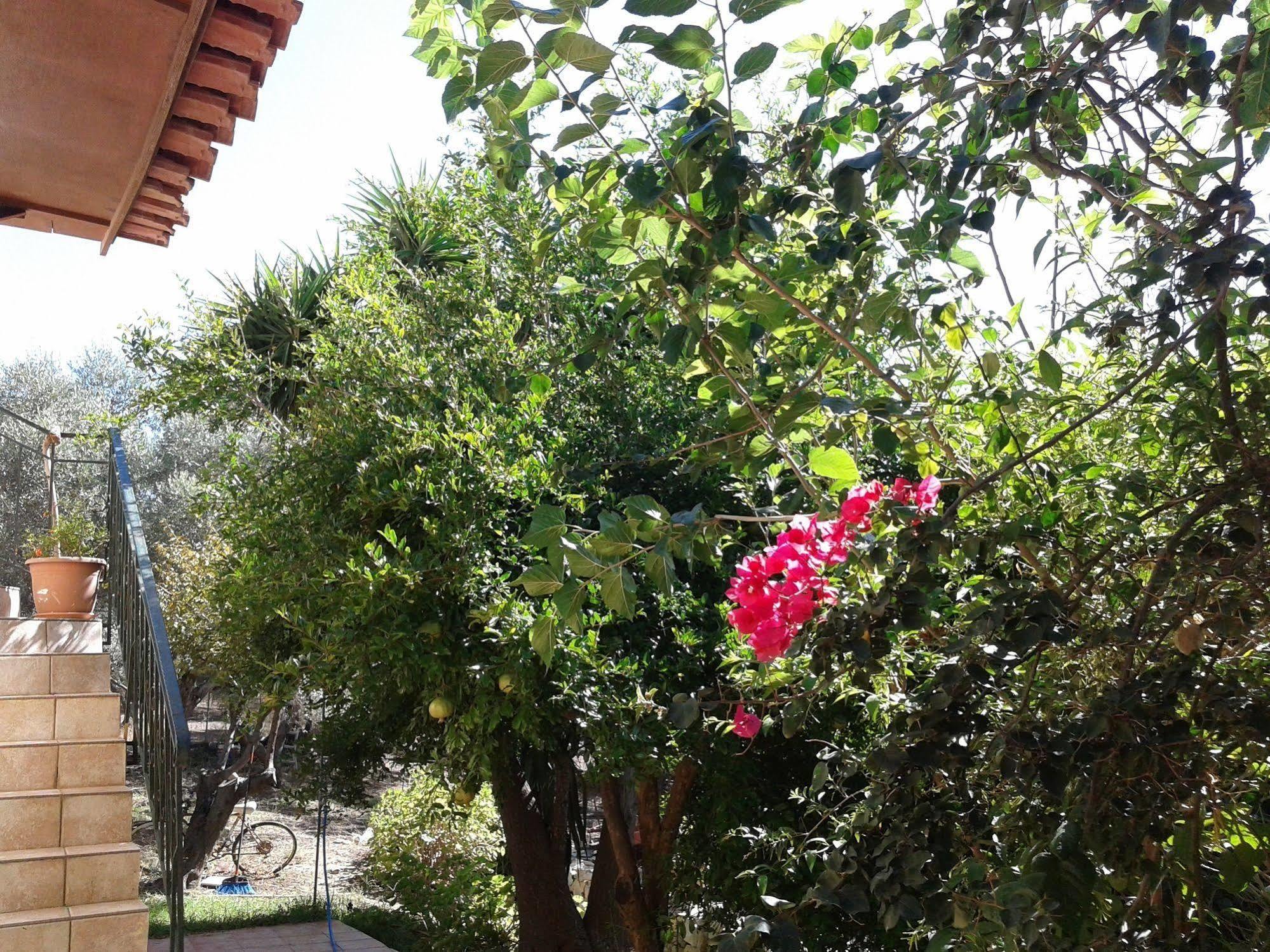 Ktima Tzamika Apartment Episkopi  ภายนอก รูปภาพ